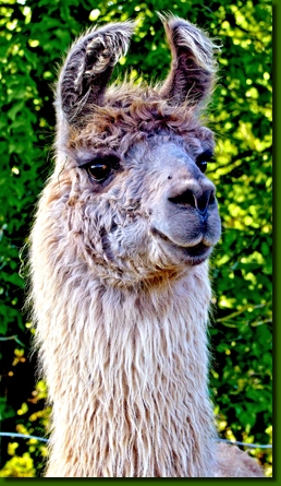 LamastutenMagdalenaP3