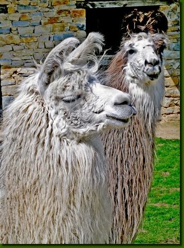 LamastutenSandamerP2