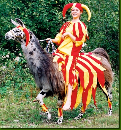 LamasVerkleidung02