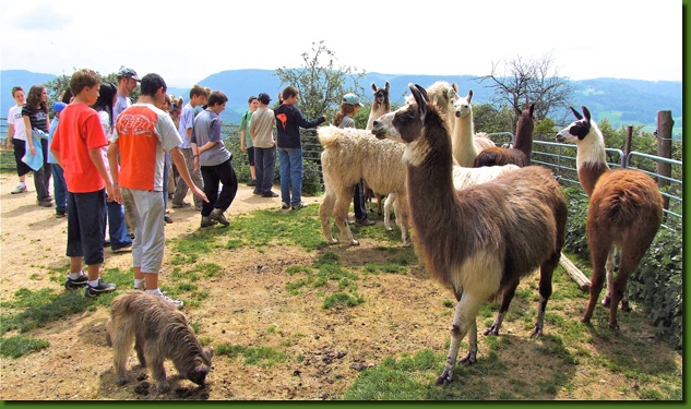 LamasVisites01