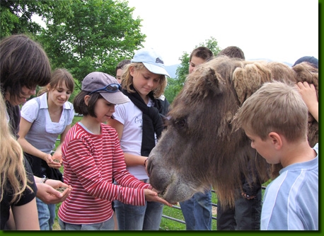 LamasVisites14