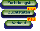Zuchtstuten